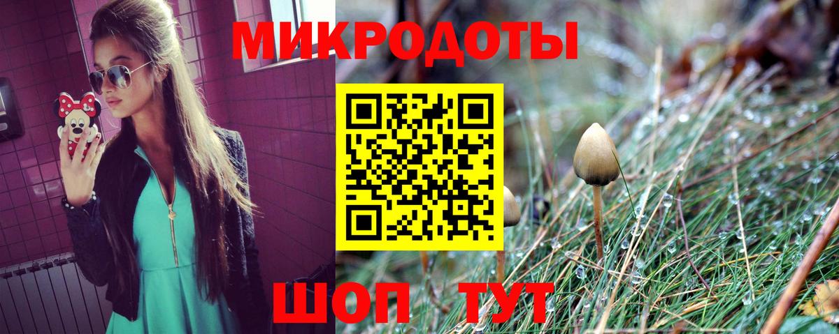 Чехов  Псилоцибиновые грибы Psilocybe  Вход с VPN 